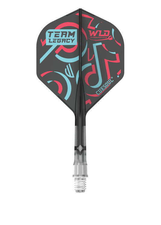 WLD TIKTOK ROST T19, All In One Flights - Let's Play Darts Range