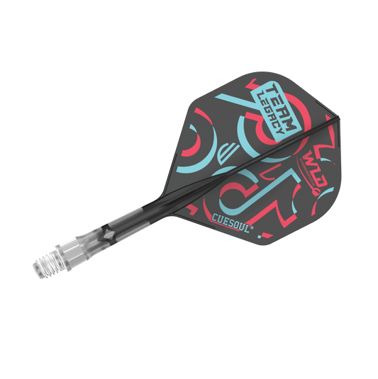 WLD TIKTOK ROST T19, All In One Flights - Let's Play Darts Range